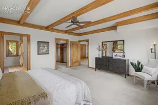 17260 Fairplay Dr, Monument, CO 80132 - Photo 29