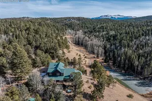 528 Mohawk Heights, Florissant, CO 80816 - Photo 3