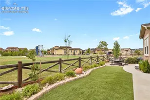 7158 Spring Linden Court, Colorado Springs, CO 80927 - Photo 41