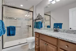 7158 Spring Linden Court, Colorado Springs, CO 80927 - Photo 37