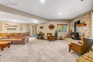 19052 Malmsbury Ct, Monument, CO 80132 - Photo 31
