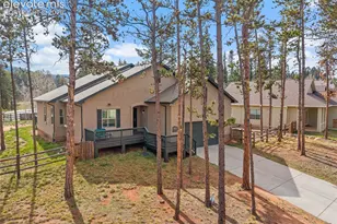 1101 Ptarmigan Dr, Woodland Park, CO 80863 - Photo 39