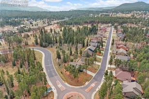 1101 Ptarmigan Dr, Woodland Park, CO 80863 - Photo 47
