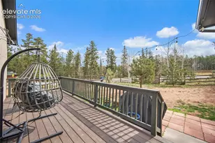 1101 Ptarmigan Dr, Woodland Park, CO 80863 - Photo 13