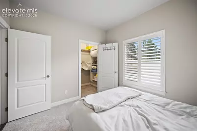 1101 Ptarmigan Drive, Woodland Park, CO 80863 - Photo 29