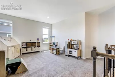 7664 Alpine Daisy Drive, Colorado Springs, CO 80925 - Photo 21