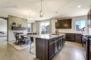 7664 Alpine Daisy Dr, Colorado Springs, CO 80925 - Photo 17