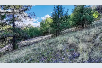 83 Penrose Circle, Cripple Creek, CO 80813 - Photo 17