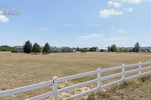 15624 Lucy Ln, Peyton, CO 80831 - Photo 43