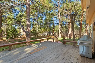19850 Indian Summer Lane, Monument, CO 80132 - Photo 37