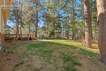 19850 Indian Summer Lane, Monument, CO 80132 - Photo 43