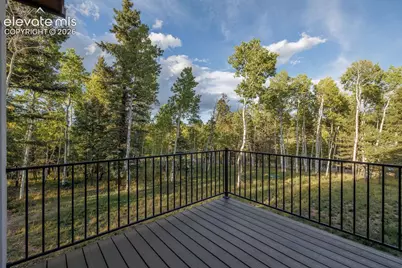 549 Aspen Village Road, Divide, CO 80814 - Photo 9