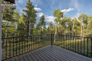 549 Aspen Village Rd, Divide, CO 80814 - Photo 9