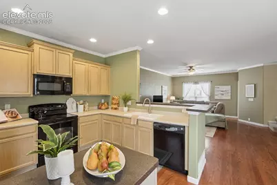 976 Burning Bush Point, Monument, CO 80132 - Photo 19