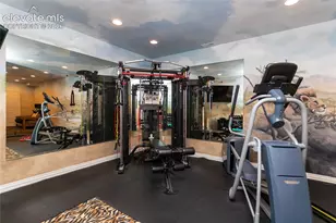 19230 Lochmere Ct, Monument, CO 80132 - Photo 43