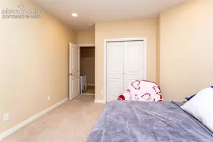 19230 Lochmere Ct, Monument, CO 80132 - Photo 39
