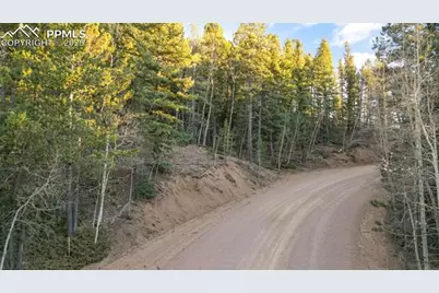 1289 Yorktown Road, Cripple Creek, CO 80813 - Photo 19
