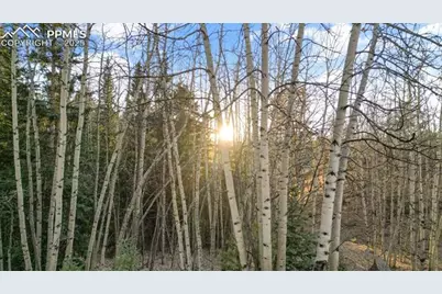 1289 Yorktown Road, Cripple Creek, CO 80813 - Photo 17