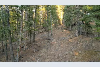 1289 Yorktown Road, Cripple Creek, CO 80813 - Photo 15