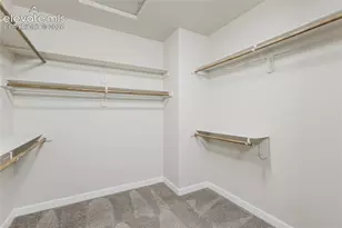407 Silvermoon Hts, Divide, CO 80814 - Photo 21