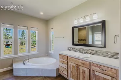 407 Silvermoon Heights, Divide, CO 80814 - Photo 23