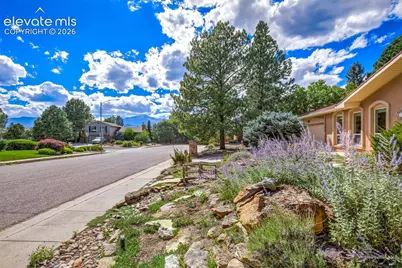 101 Raven Hills Court, Colorado Springs, CO 80919 - Photo 5