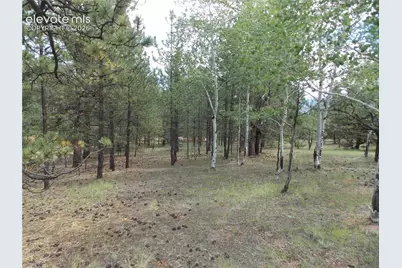 738 Black Mesa Circle, Florissant, CO 80816 - Photo 3