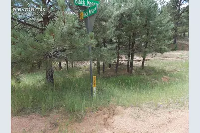 738 Black Mesa Circle, Florissant, CO 80816 - Photo 1