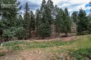 1427 N Mountain Estates Rd, Florissant, CO 80816 - Photo 43