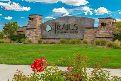 8289 Falling Rock Drive, Colorado Springs, CO 80925 - Photo 45