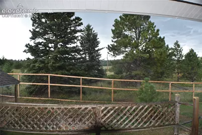 1014 Elfin Glen Drive, Divide, CO 80814 - Photo 43
