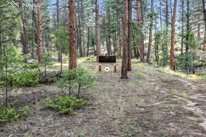1721 Wildhorn Road, Florissant, CO 80816 - Photo 41