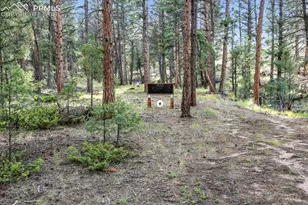 1721 Wildhorn Rd, Florissant, CO 80816 - Photo 41