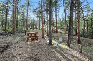1721 Wildhorn Rd, Florissant, CO 80816 - Photo 41