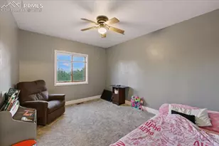 1721 Wildhorn Rd, Florissant, CO 80816 - Photo 7