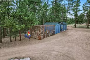 1721 Wildhorn Rd, Florissant, CO 80816 - Photo 45
