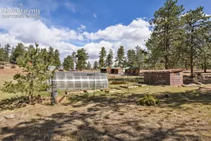 881 Trail Creek Rd, Lake George, CO 80827 - Photo 35
