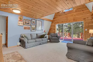 881 Trail Creek Rd, Lake George, CO 80827 - Photo 9