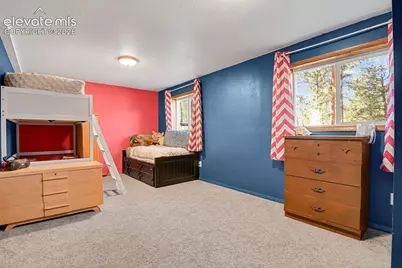 881 Trail Creek Road, Lake George, CO 80827 - Photo 29