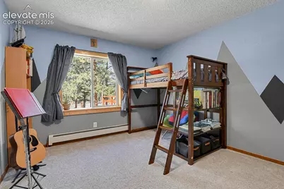 881 Trail Creek Road, Lake George, CO 80827 - Photo 19