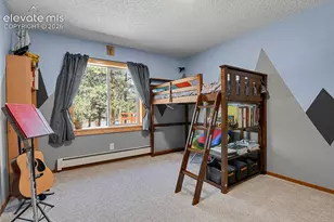881 Trail Creek Rd, Lake George, CO 80827 - Photo 19