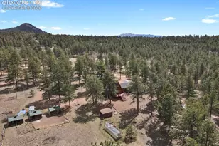 881 Trail Creek Rd, Lake George, CO 80827 - Photo 5