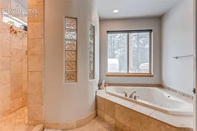9364 Shipman Lane, Colorado Springs, CO 80908 - Photo 19
