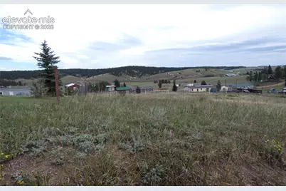 149 Will Scarlet Drive, Divide, CO 80814 - Photo 3
