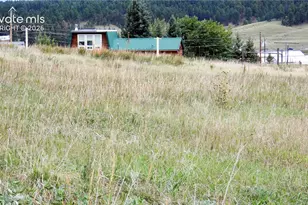 149 Will Scarlet Dr, Divide, CO 80814 - Photo 1
