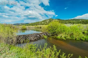 224 Lakeview Frst Hts, Florissant, CO 80816 - Photo 39