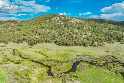 224 Lakeview Forest Heights, Florissant, CO 80816 - Photo 39