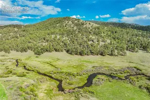 224 Lakeview Frst Hts, Florissant, CO 80816 - Photo 39
