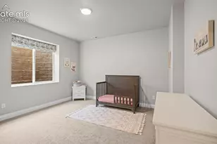 4007 Notch Trail, Colorado Springs, CO 80924 - Photo 25