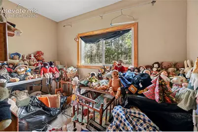 2659 Edlowe Road, Woodland Park, CO 80863 - Photo 3